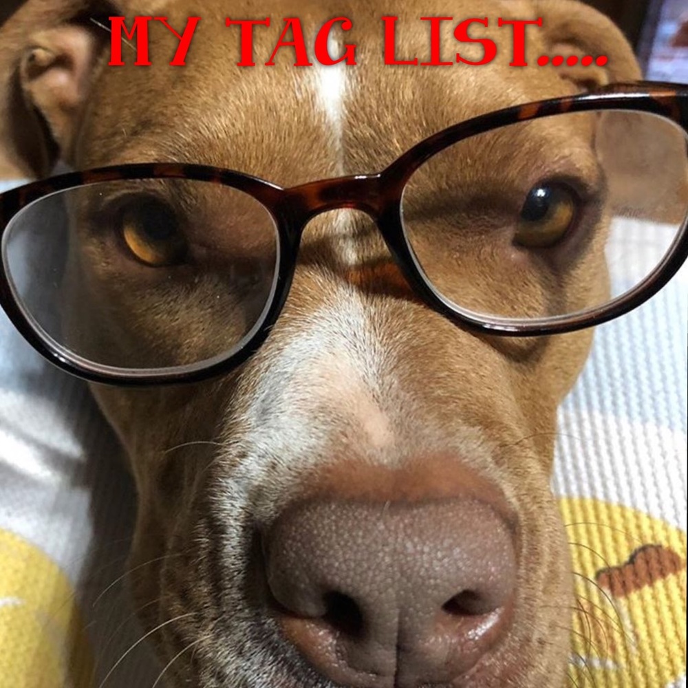 MY TAG LIST